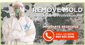 South Florida Water and Mold Restoration